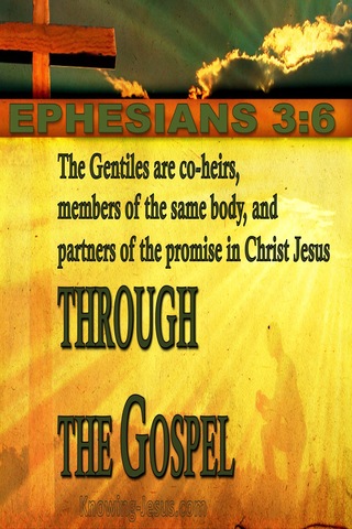 Ephesians 3:6 Co Heirs And Members Of The Same Body (yellow)